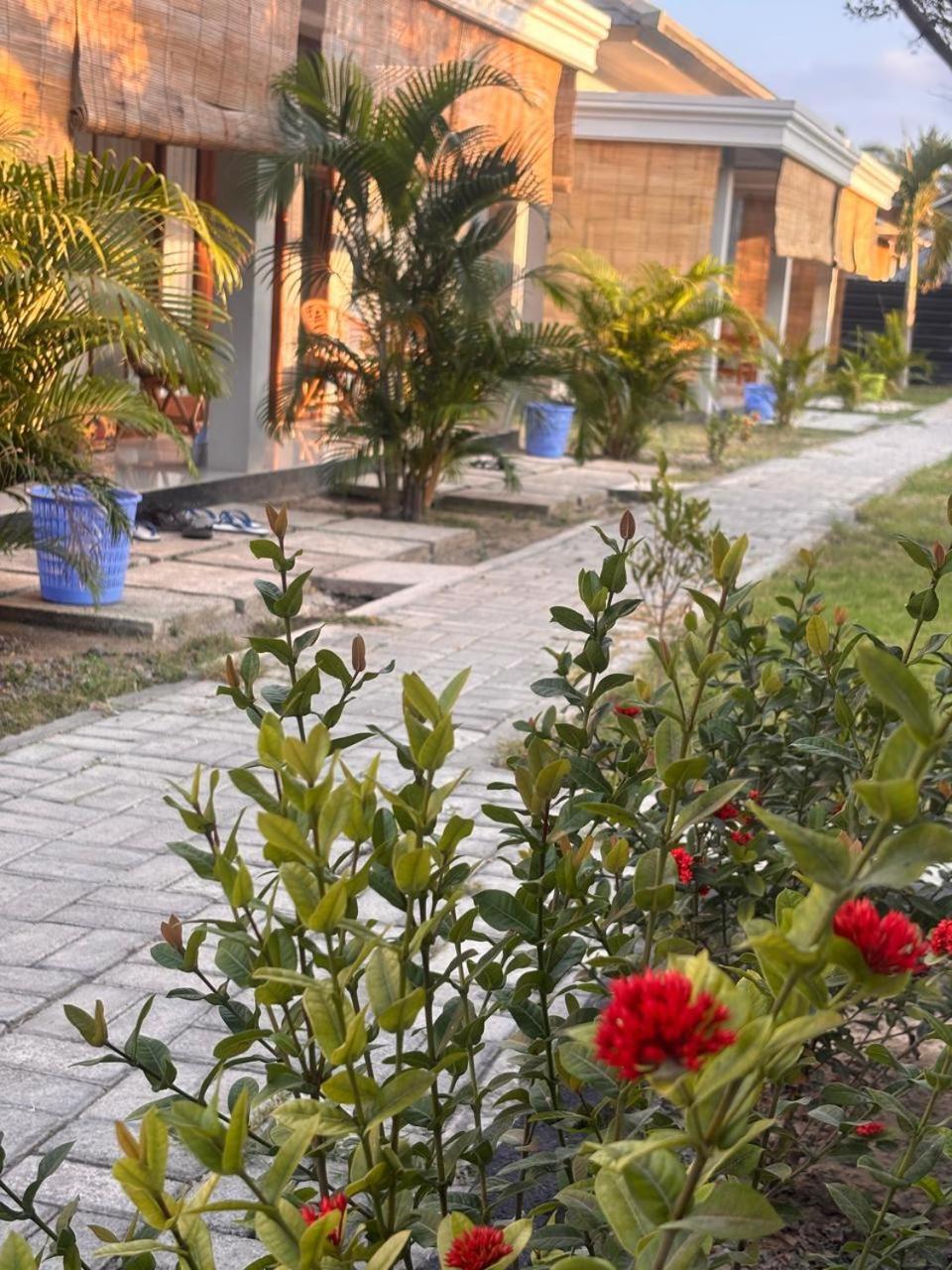 Qwank Kuta Lombok Apartment Екстериор снимка